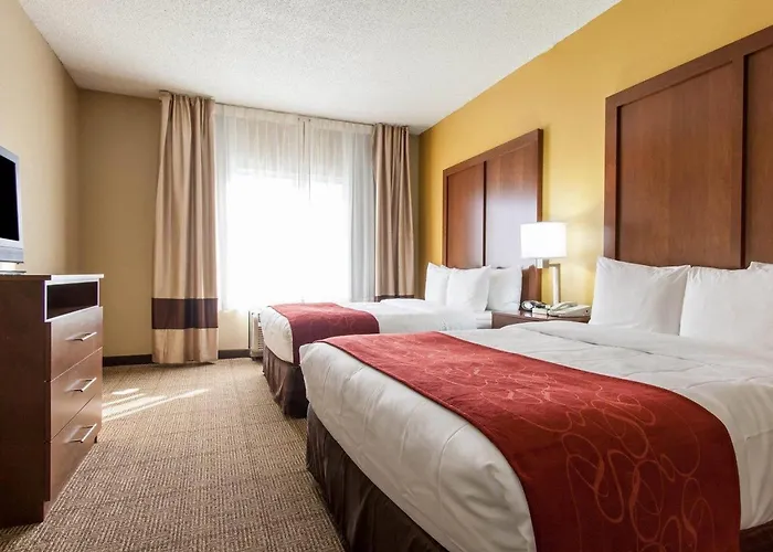 Comfort Hotel
